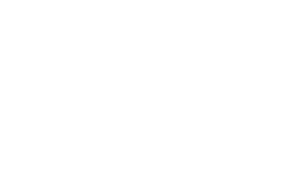 Zegur